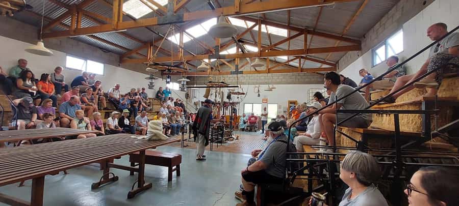 Punta Loma + Ranch Shore Excursion for cruise passengers - Seeing a sheep shearing demonstration