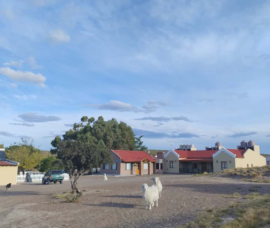 Punta Loma + Ranch Shore Excursion for cruise passengers - Who will enjoy this shore excursion most