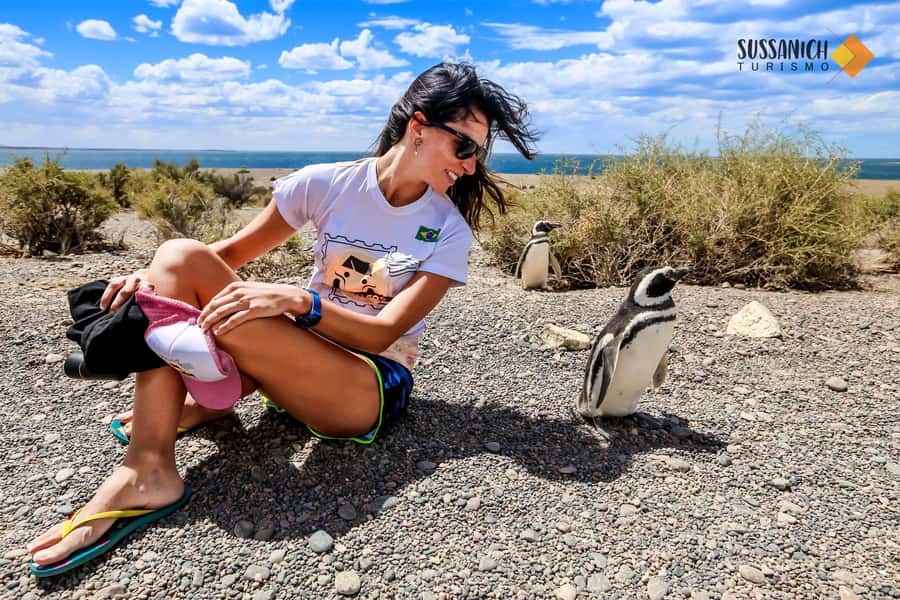 Punta Tombo Shore Excursion for Cruise Passengers + City - Final verdict: book it for penguins, not for a relaxed port day