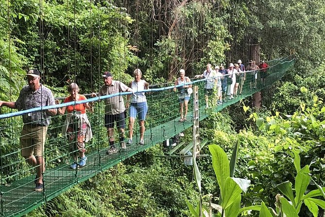 Puntarenas Shore Excursion: Rainforest Skywalk & Tarcoles River - Two Costa Rican ecosystems in one port day