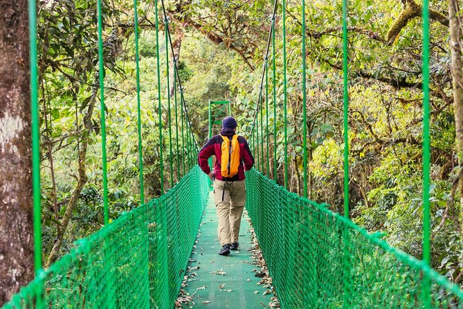 Puntarenas Shore Excursion: Rainforest Skywalk & Tarcoles River - How difficult is the 1.5-mile forest walk?