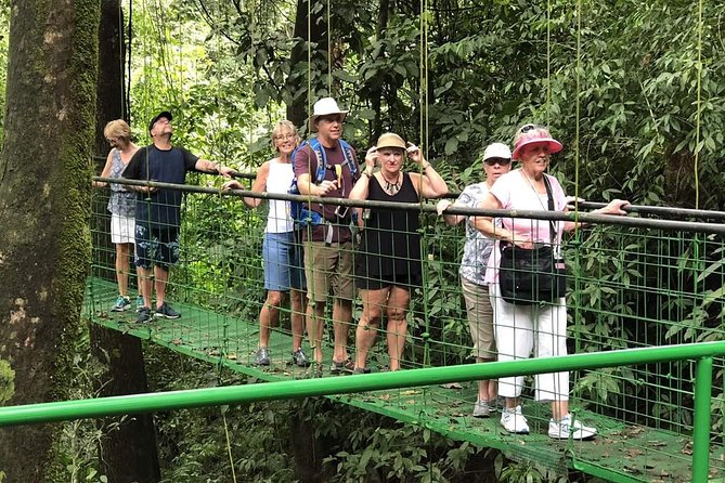 Puntarenas Shore Excursion: Rainforest Skywalk & Tarcoles River - Guides can turn an ordinary sighting into a good one