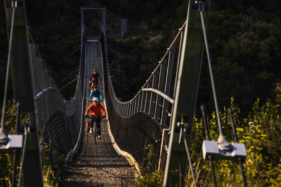Remutaka Rail Trail eBike Shore Excursion for Cruise Ships - Key points at a glance
