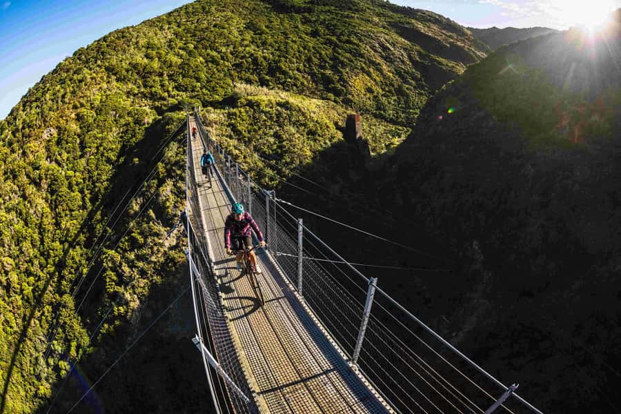 Remutaka Rail Trail eBike Shore Excursion for Cruise Ships - Who should book this ride?