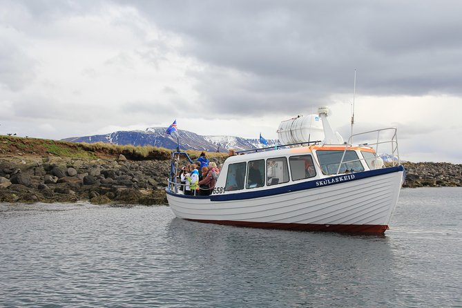 Reykjavik Shore Excursion: Puffin Sightseeing Cruise - Circling Akurey Island for puffins and terns
