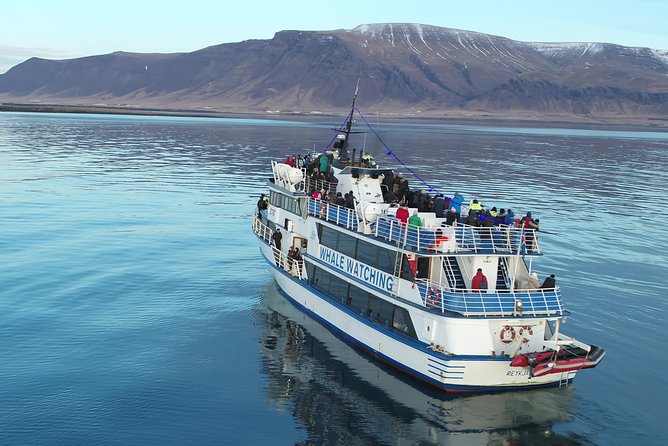 Reykjavik Shore Excursion: Whale-Watching Cruise - Who Will Enjoy This Cruise Most?