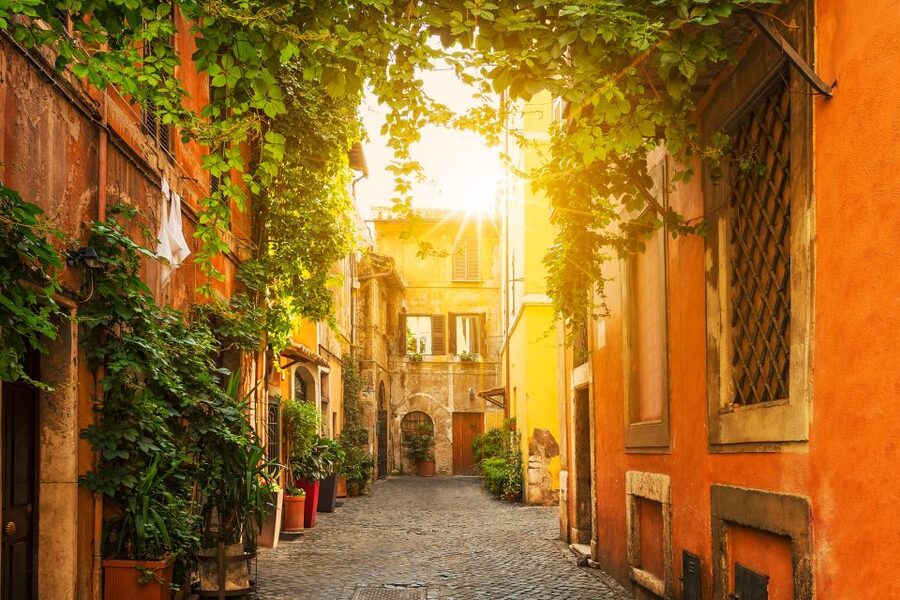 Rome: Full-Day Shore Excursion from Civitavecchia Port - The Colosseum and Trajan’s Market