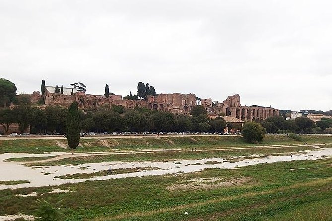 Rome' s 8 Best Wonders from Civitavecchia Port Private Day Tour - Circus Maximus and the Palatine Hill view