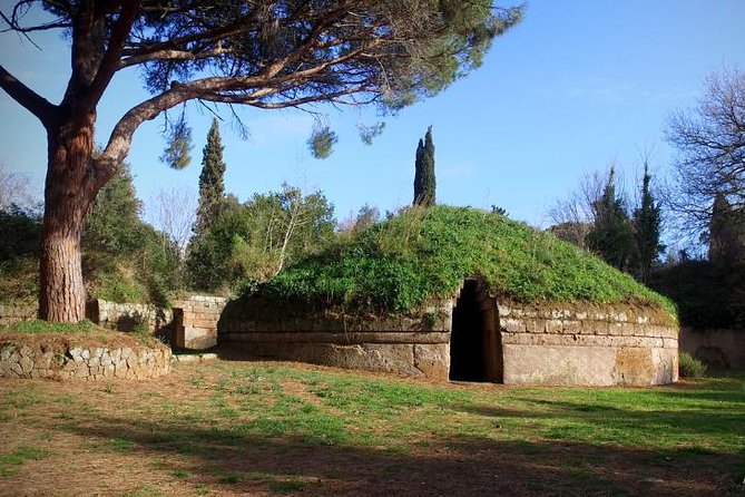 Rome's Enchanting Countryside Port Tour(Driver Only/Self Touring) - Price, group size, and overall value