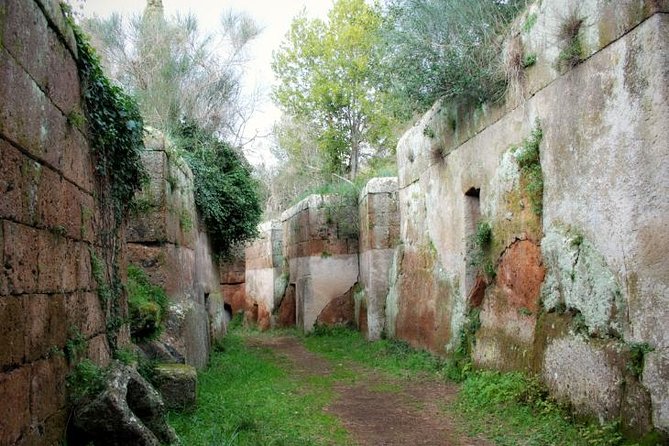 Rome's Enchanting Countryside Port Tour(Driver Only/Self Touring) - Timing, pickup, and practical planning
