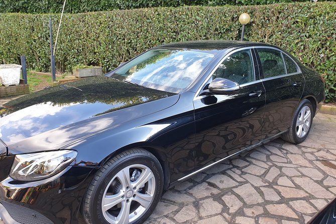 Rome Shore Excursion: Pre-Cruise Private Sightseeing Tour Including Civitavecchia Port Drop-Off - Palatine Hill and the Roman Forum