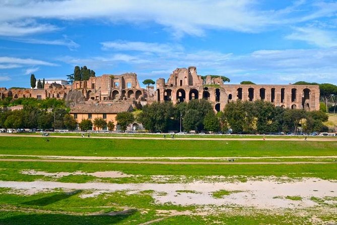 Rome Small-Group Shared Tour from Civitavecchia: 8 People Max - The Roman Forum from above, not from within