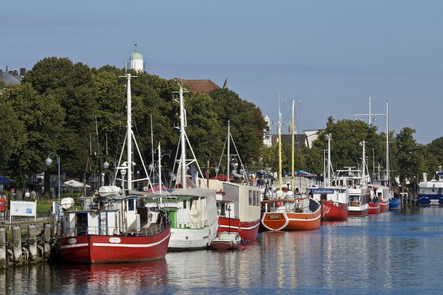 Rostock: Warnemünde and Rostock Half-Day Shore Trip - Key points at a glance