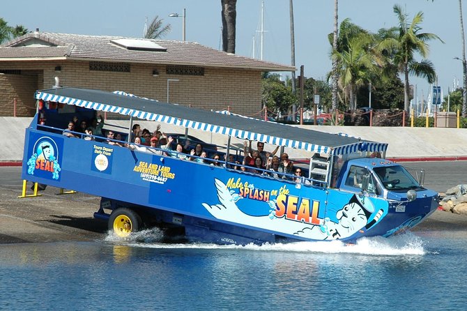 San Diego Shore Excursion: San Diego Seal Tour - Key points to know before you book