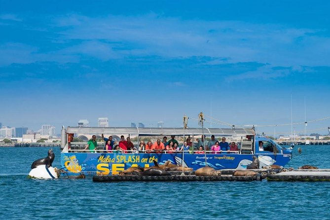 San Diego Shore Excursion: San Diego Seal Tour - Wildlife around the bay and Quivira Basin