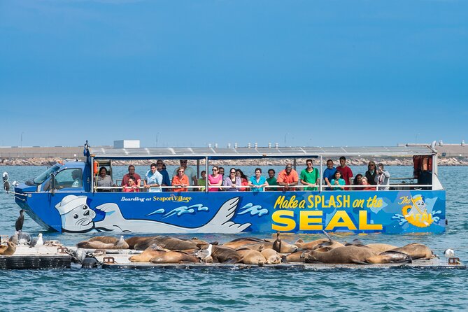 San Diego Shore Excursion: San Diego Seal Tour - The first 30 minutes: Harbor Drive, sailors, and military San Diego