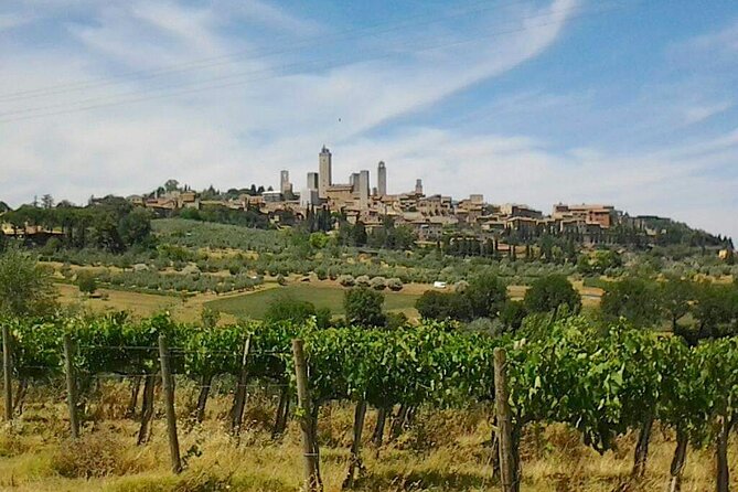 San Gimignano and Volterra Private Shore Excursion from Livorno - Key points to know before booking