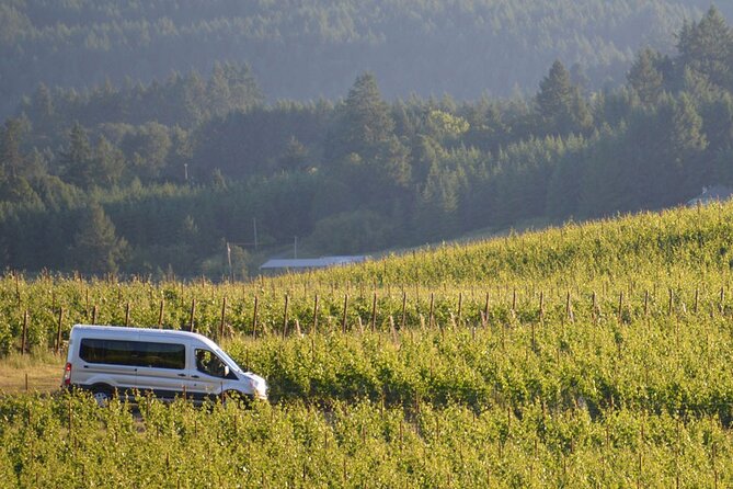 San Gimignano and Winery Experience with Lunch from Livorno - Leaving Livorno for the Tuscan hills