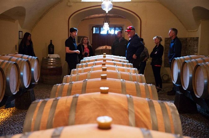 San Gimignano and Winery Experience with Lunch from Livorno - Who gets the best value from $204.37?