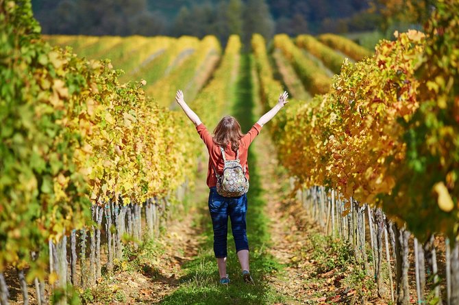 San Gimignano and Winery Experience with Lunch from Livorno - Timing, cancellation, and small practical details