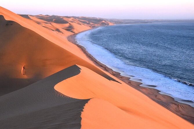 Sandwich Harbour Scenic Excursion - Design for the Cruise Ships - Wildlife between the dunes and the sea