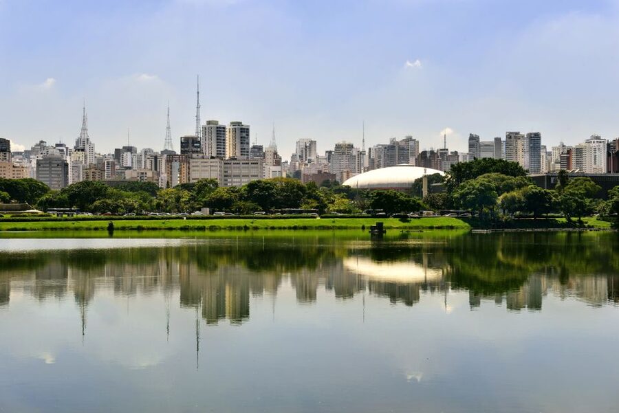 São Paulo: Full-Day Guided City Tour from the Port of Santos - Key points to know before booking