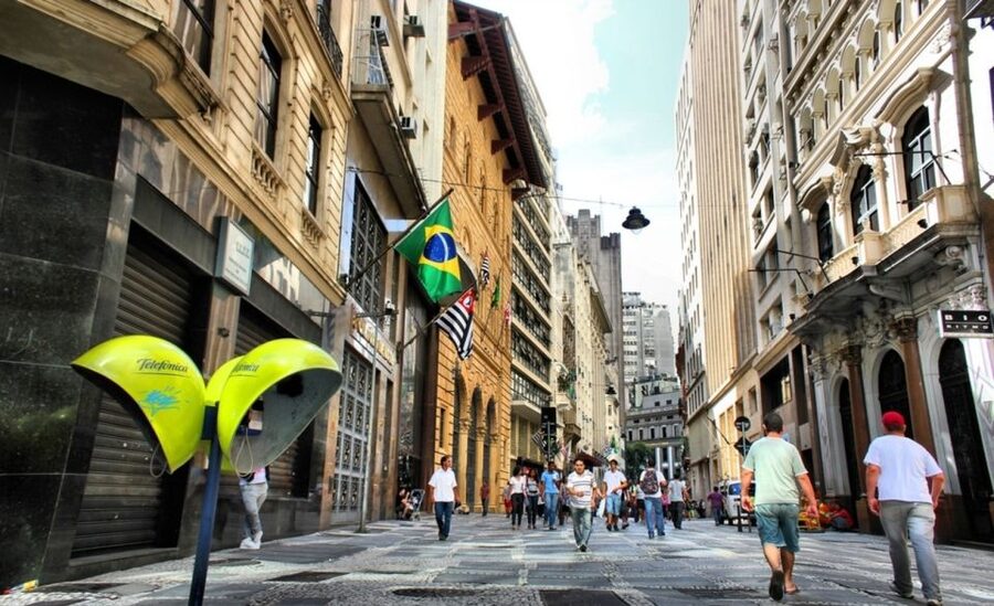 São Paulo: Full-Day Guided City Tour from the Port of Santos - Who will like this tour most