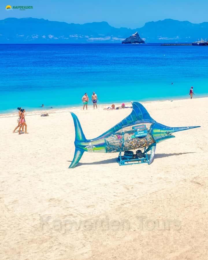 São Vicente: Highligts tour for cruise ship travelers - Monte Verde brings the biggest views