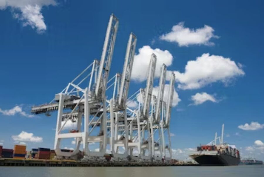 Savannah: Cruise Port Tour - Who will enjoy this cruise most?