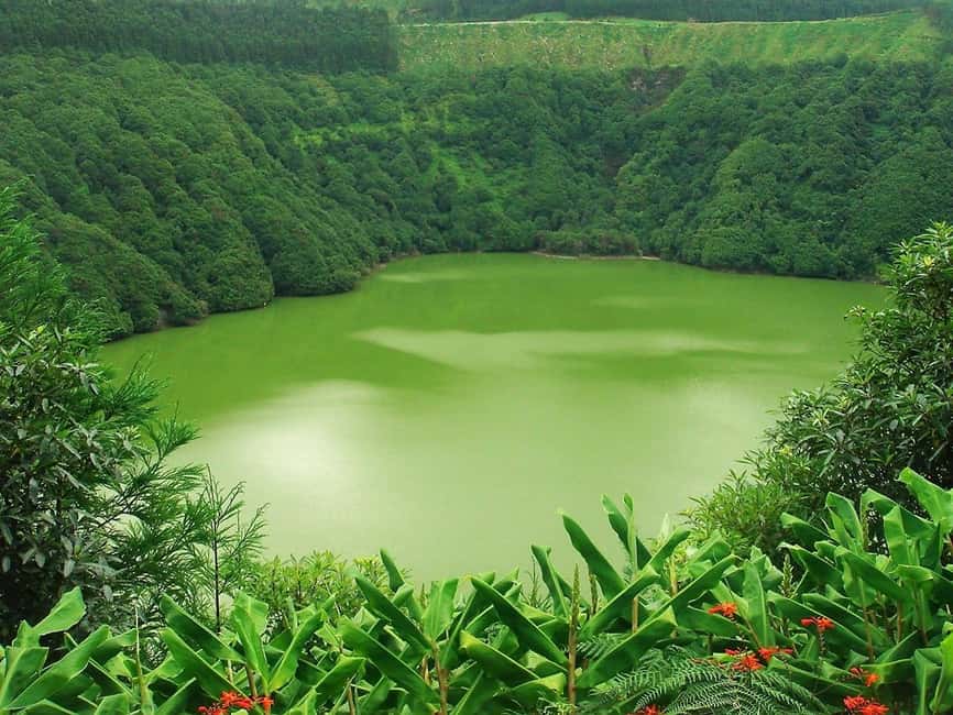 Seven Citys Tour: Sete Cidades Crater Lake Shore Excursion - Pineapples St. Anthony starts the morning locally