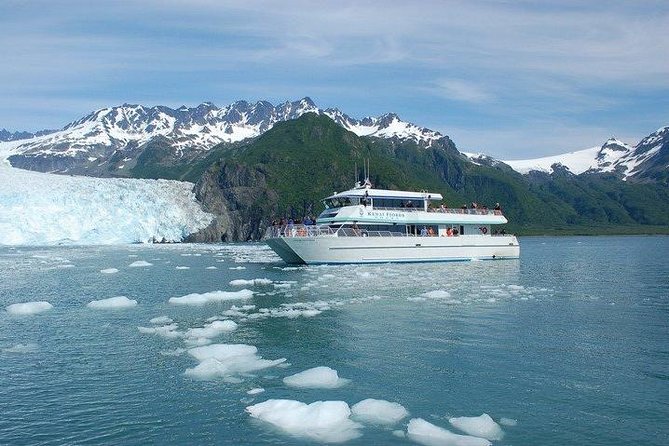Seward Shore Excursion: Pre- or Post-Cruise Kenai Fjords National Park Tour - Thumb Cove brings waterfalls and seabirds