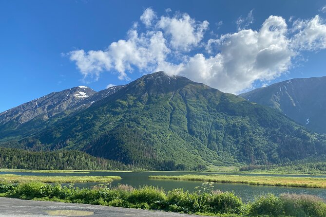 Seward: To Anchorage Full Day Transit Tour with Port Pickup - Key details before you book