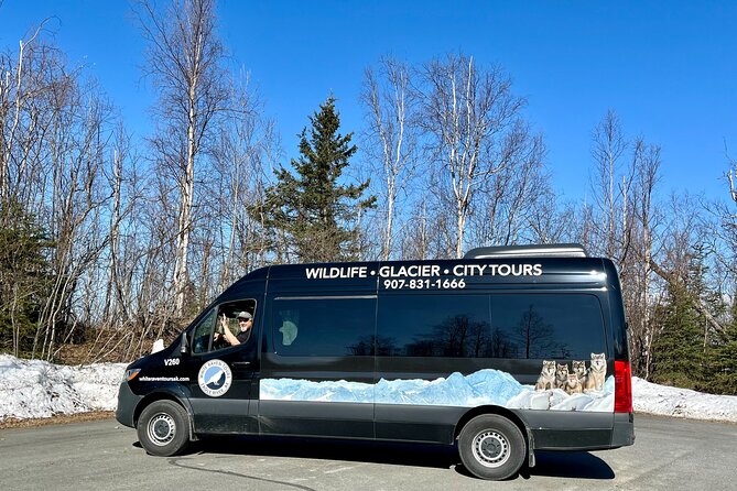 Seward: To Anchorage Full Day Transit Tour with Port Pickup - A practical transfer from Seward to Anchorage