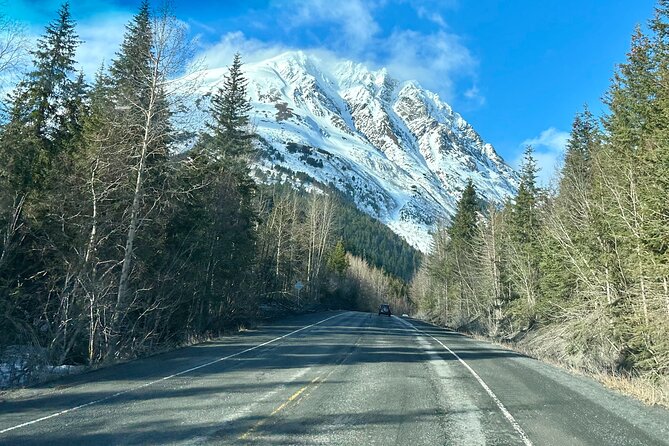 Seward: To Anchorage Full Day Transit Tour with Port Pickup - Alaska Wildlife Conservation Center
