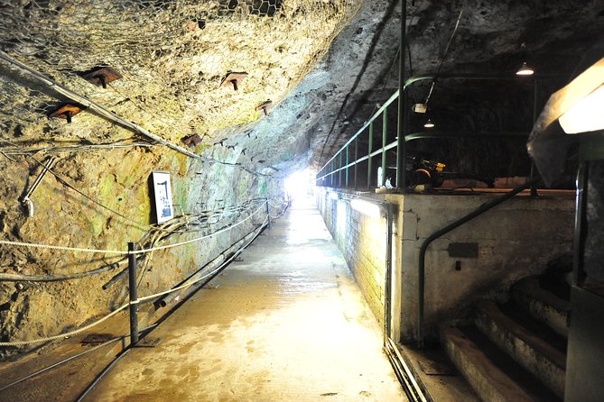 SHORE EXCURSION 3hrs Tunnel Tour - The Skywalk and the Pillars of Hercules
