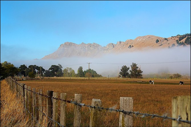 Shore Excursion: 4-Hour Discover Hawkes Bay and Napier Tour - Te Mata Peak at 399 metres