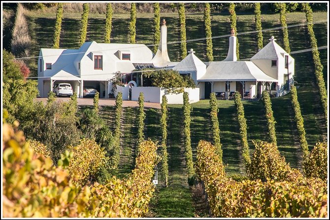 Shore Excursion: 4-Hour Discover Hawkes Bay and Napier Tour - The vehicle, group size, and comfort