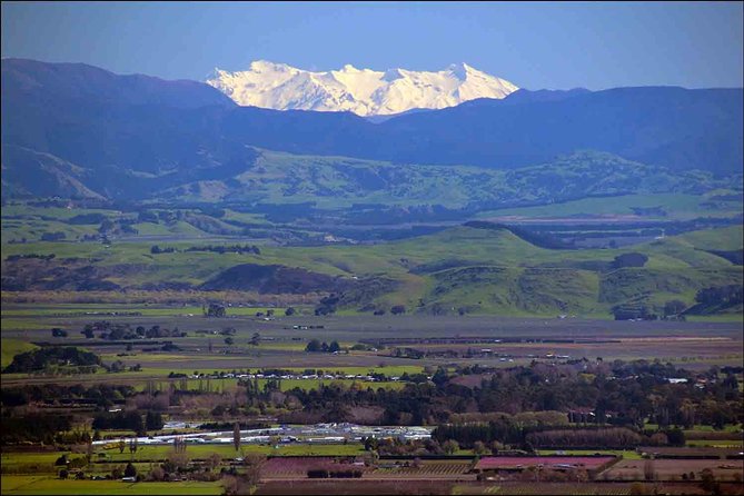 Shore Excursion: 4-Hour Discover Hawkes Bay and Napier Tour - Guides can make or break the day