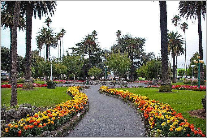 Shore Excursion: 4-Hour Discover Hawkes Bay and Napier Tour - Is $83.78 good value?