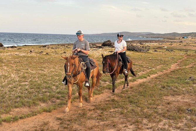 Shore Excursion Aruba’s Ecological and Beach Horseback Riding - Why the horses and guides matter