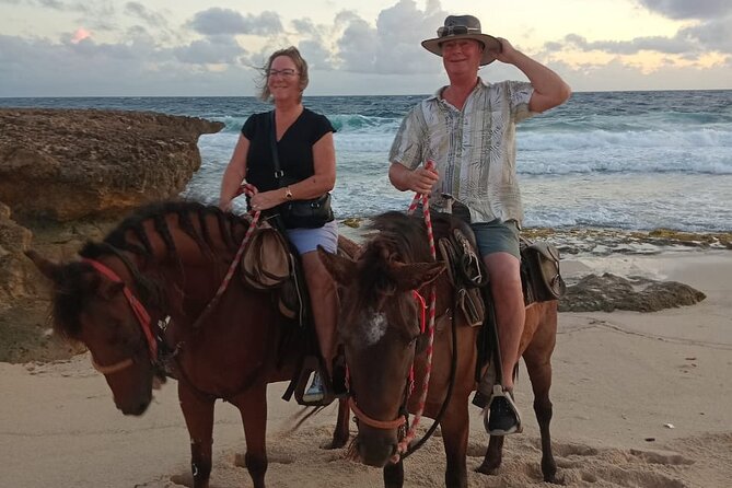 Shore Excursion Aruba’s Ecological and Beach Horseback Riding - What the $95 price includes in practical terms