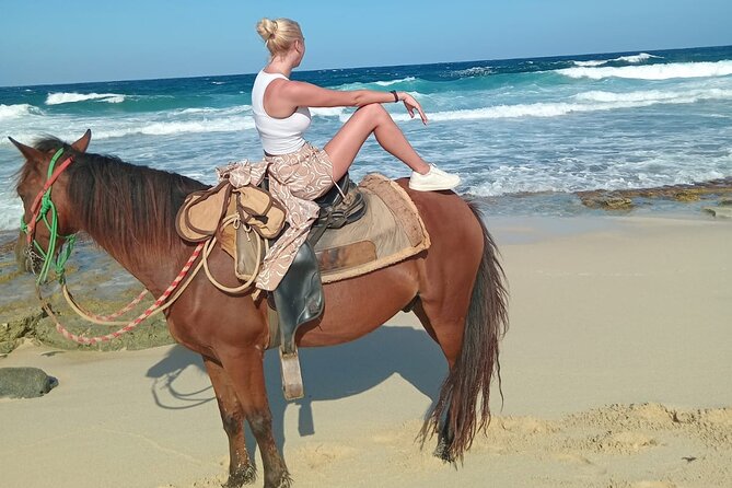 Shore Excursion Aruba’s Ecological and Beach Horseback Riding - Who should book this Aruba ride