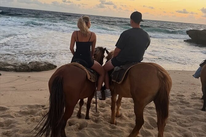 Shore Excursion Aruba’s Ecological and Beach Horseback Riding - Meeting a calm horse and getting comfortable
