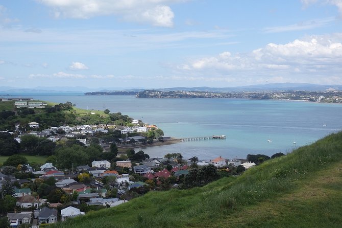 Shore Excursion: Auckland Scenic Full Day Tour - 8 Hours - Mt Eden and Auckland’s volcanic character