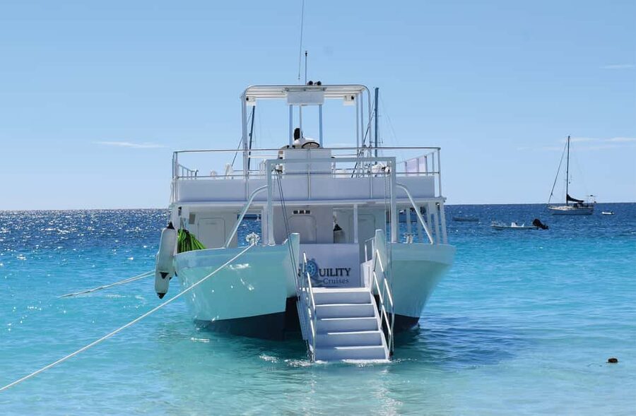 Shore Excursion Barbados Beach Day & Turtle Swim Experience - Key points at a glance
