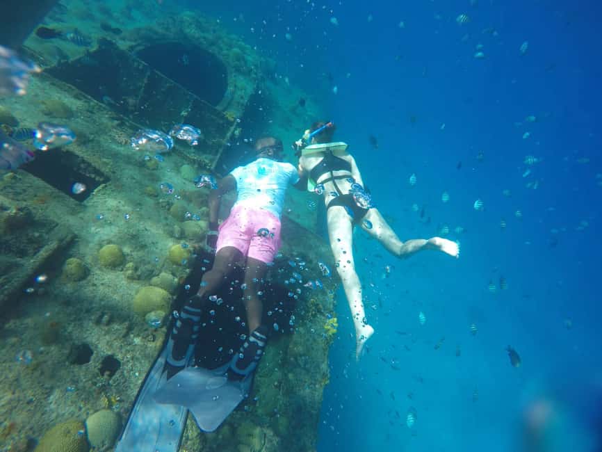 Shore Excursion Barbados Beach Day & Turtle Swim Experience - Who will enjoy this experience most