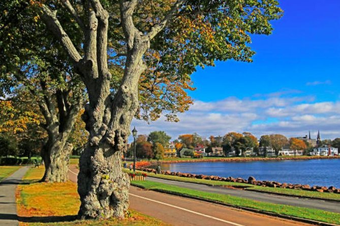 Shore Excursion: Charlottetown Highlights & Delights - Victoria Park brings in open space