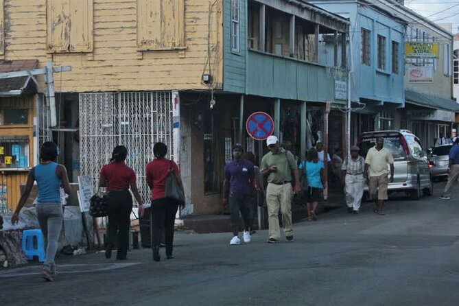 Shore Excursion: City of St John's Sightseeing Tour - The role of the driver and guide