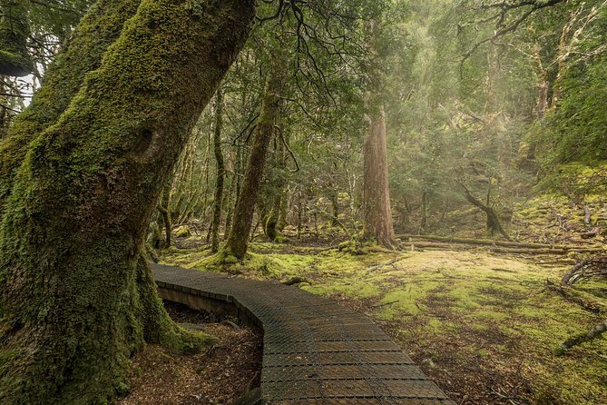 Shore Excursion - Cradle Mountain Shuttle Bus from Burnie - Weather, clothing, and comfort