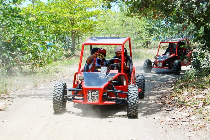 Shore Excursion Cruise ship Waterfalls y Buggys - Is $139 a fair price?